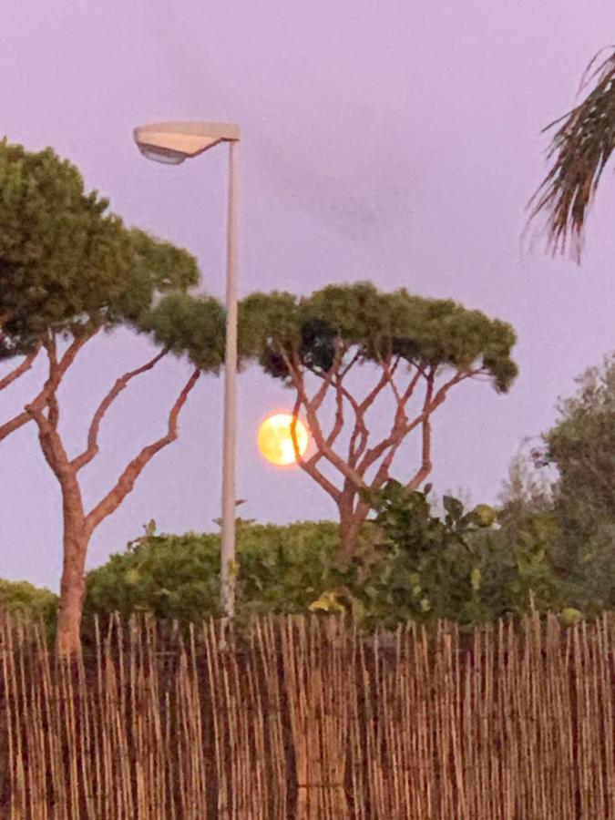 Chiclana Casa Maria Villa Chiclana de la Frontera Bagian luar foto